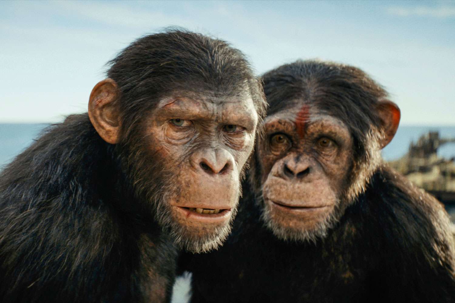 (L-R) Noa (played by Owen Teague) and Dar (played by Sara Wiseman) in 20th Century Studios' KINGDOM OF THE PLANET OF THE APES.