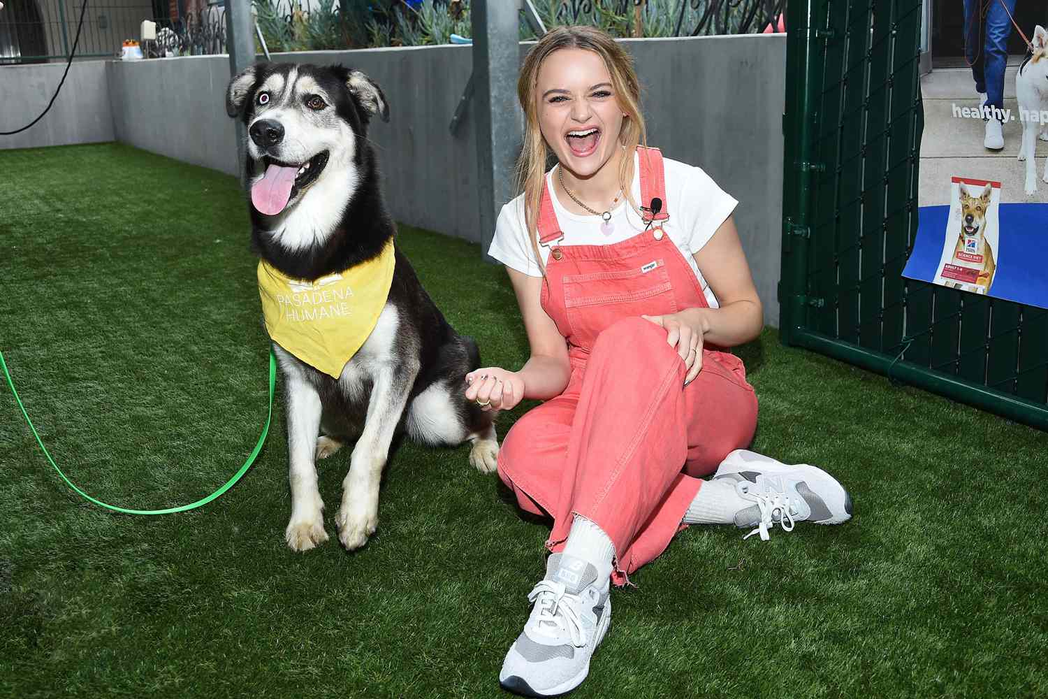 Joey King Says Itâs âSo Incredibleâ to Watch Rescue Dog Fable Grow