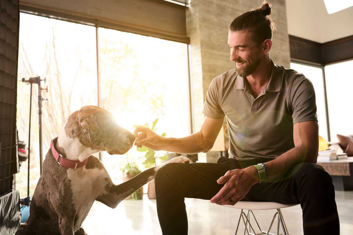 Michael Phelps purina pro plan sport figures with dogs