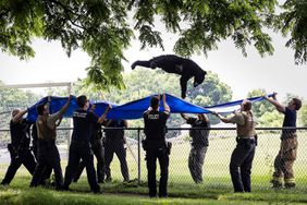 firefighters and police use a large blue tarp to capture a wayward black bear as it falls from a tree