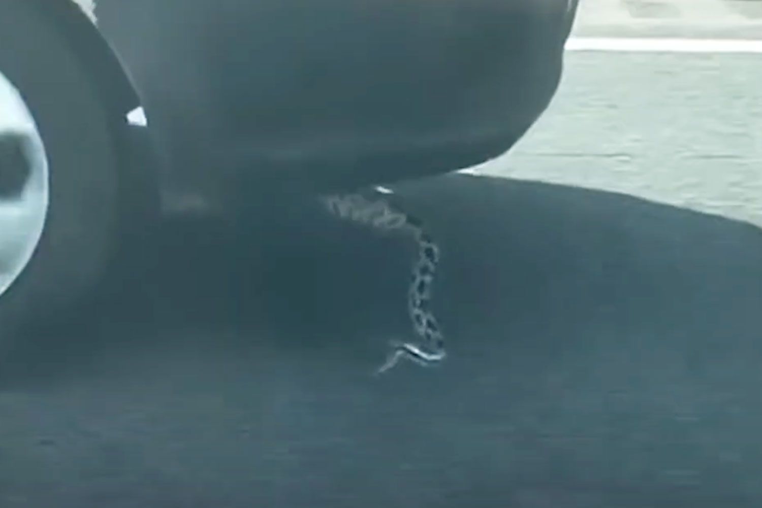 snake dangling from car