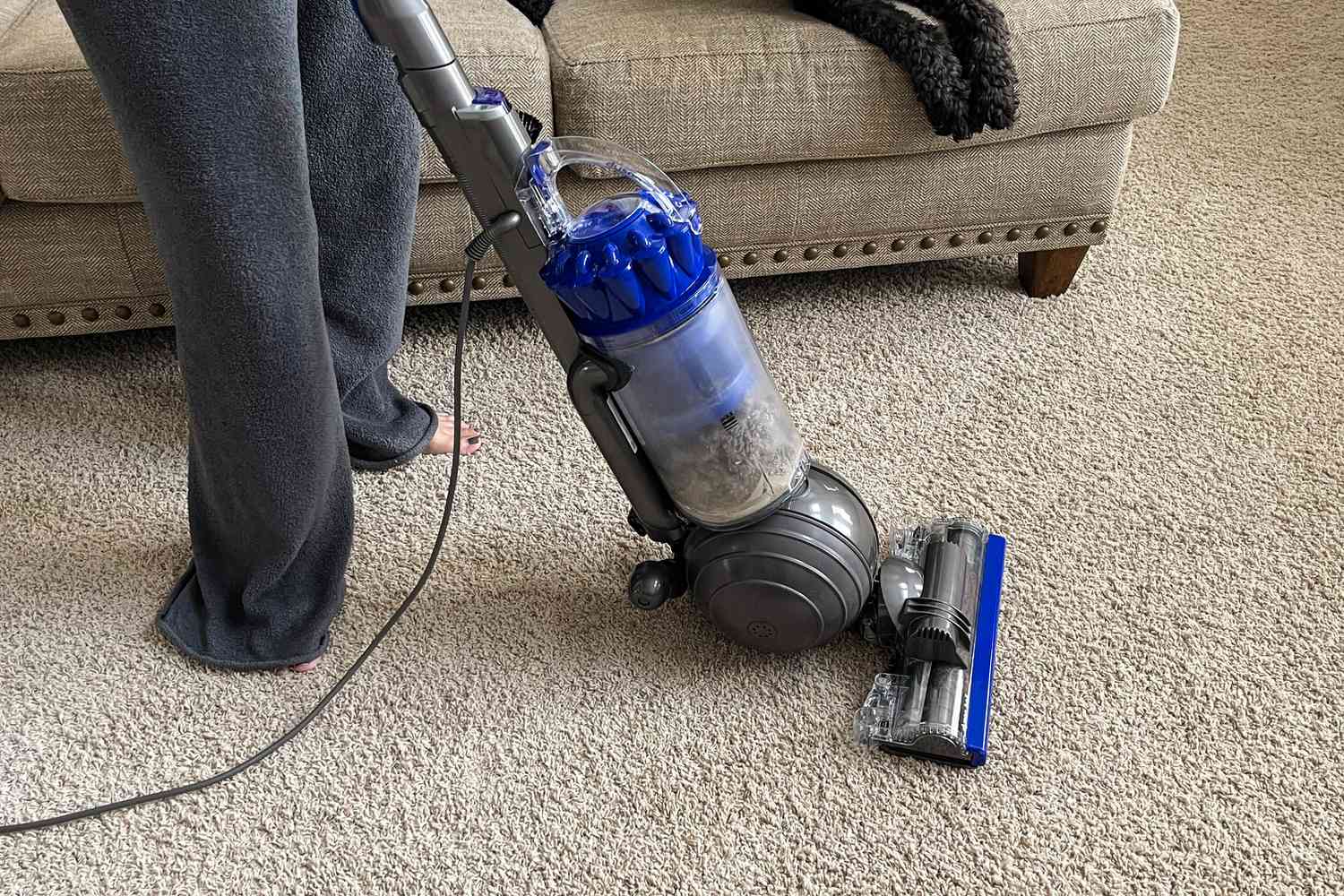 A person uses the Dyson Ball Animal Total Clean to clean a carpet