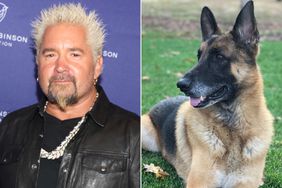 Guy Fieri dog Cowboy