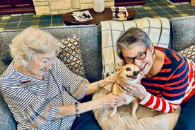 seniors helping senior dogs