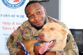 Soldiers Reunite with Stray Animals Now Adopting As Pets, Paws of War