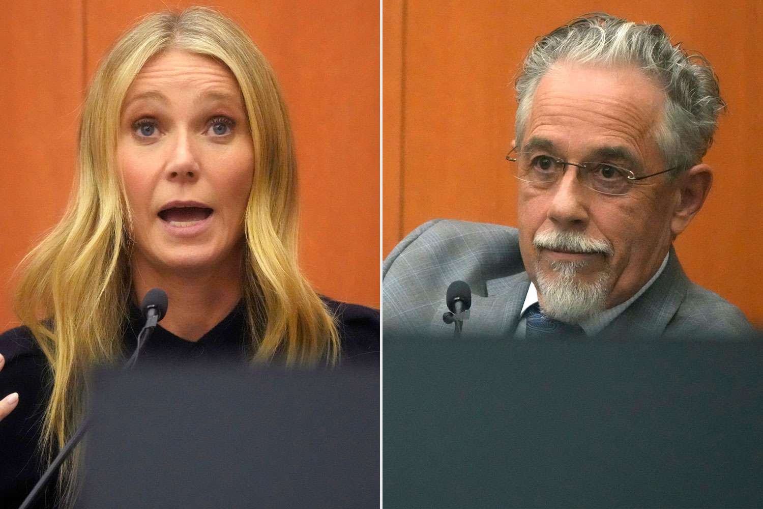 gwyneth paltrow terry sanderson trial