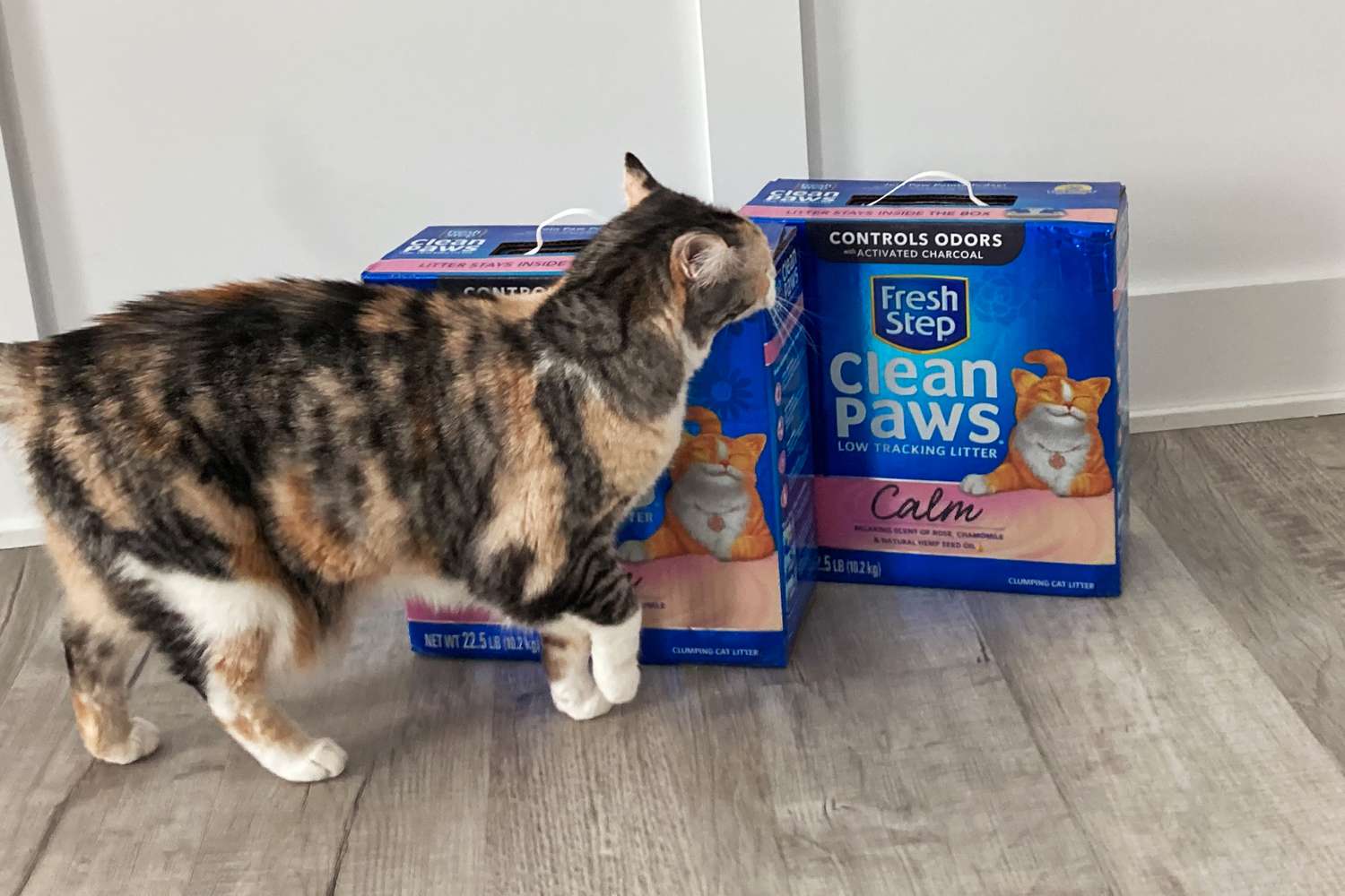 cat walking past two boxes of Fresh Step Clean Paws Calm Cat Litter