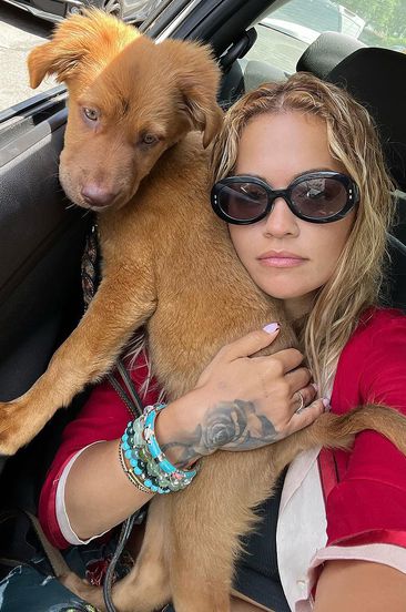 Rita Ora Cuddles with Her New Rescue Dog