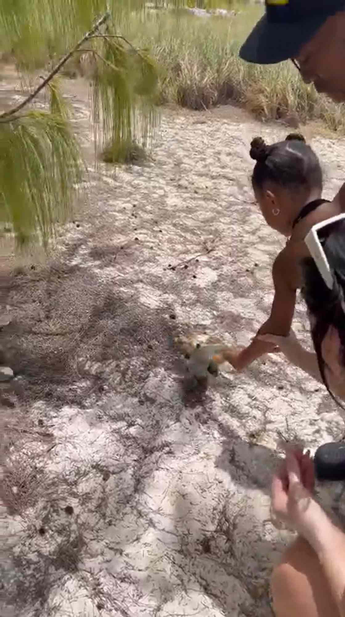 Kylie Jenner and Travis Scott Pose for Romantic Beach Photos and Feed Lizards with Daughter Stormi