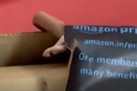 snake in amazon box