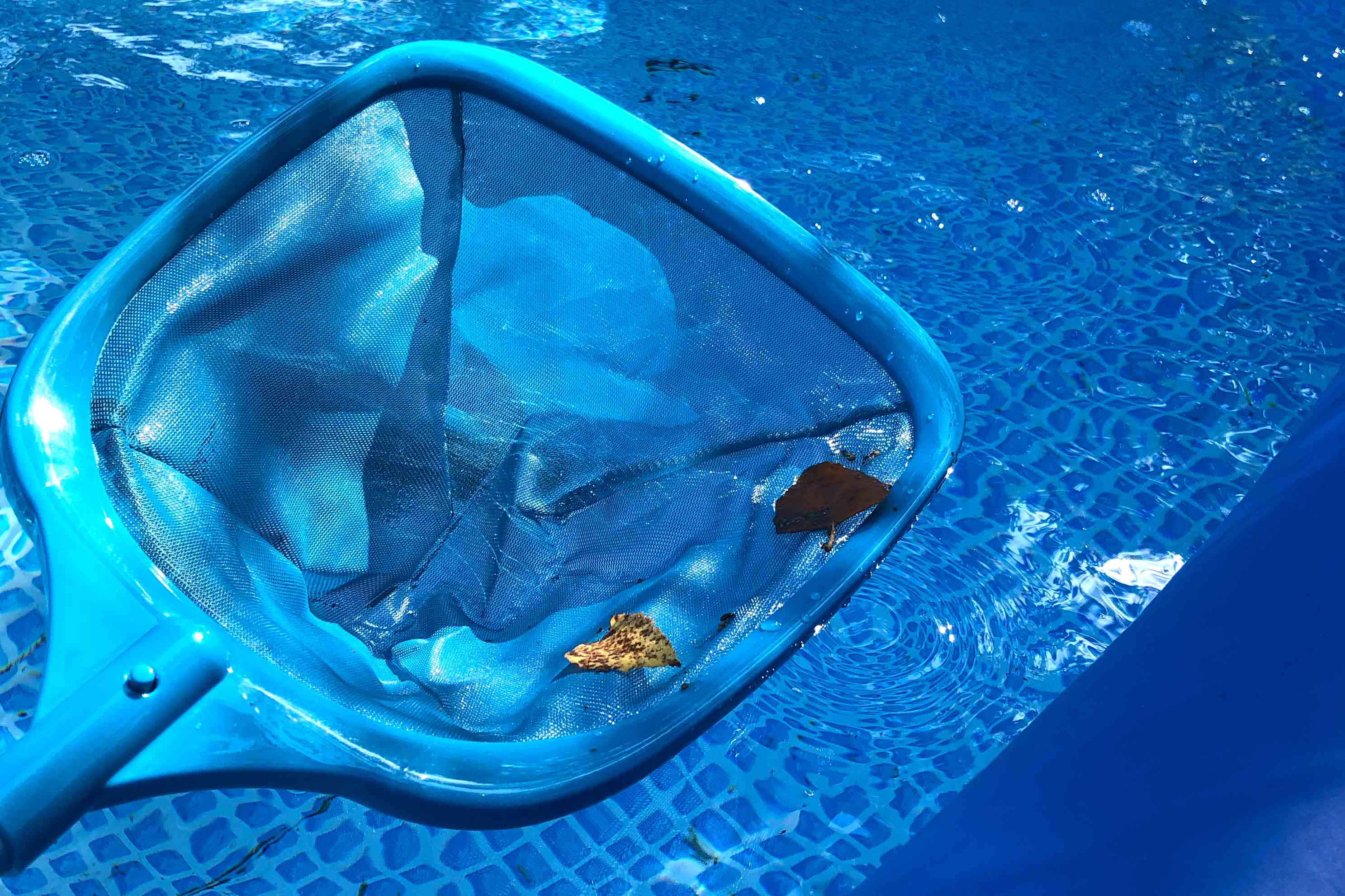 A blue pool cleaner picking up leaves in a pool