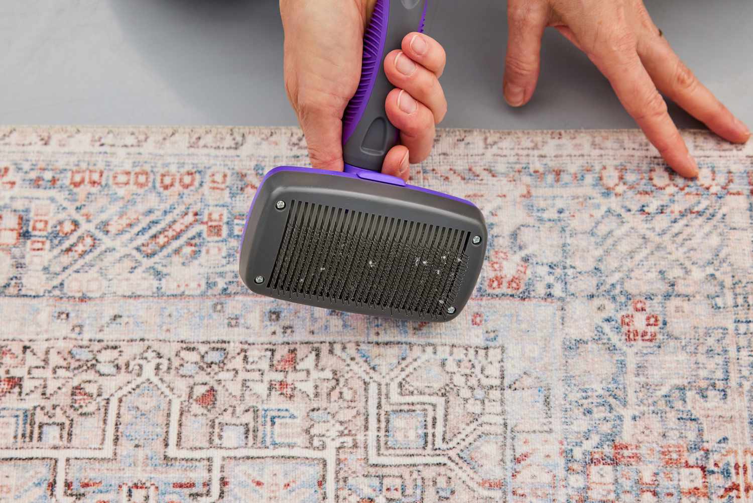 A person brushes the Chris Loves Julia x Loloi Jules Oriental Area Rug