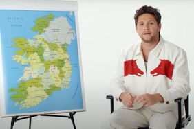 Niall Horan Tells You What Not to Do as a Tourist in Ireland