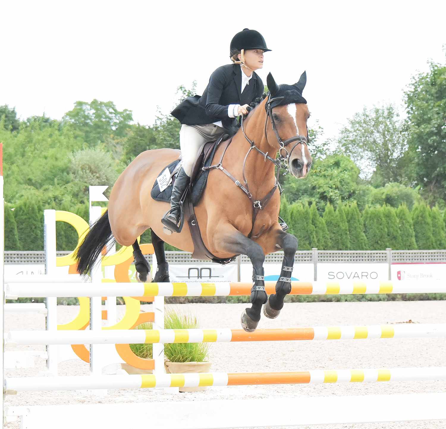 Mary Kate Olsen jumping in Hampton Classic Horseshow