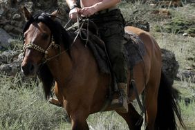 Russian Prime Minister Vladimir Putin rides a horse during his vacation outside the town of Kyzyl in Southern Siberia