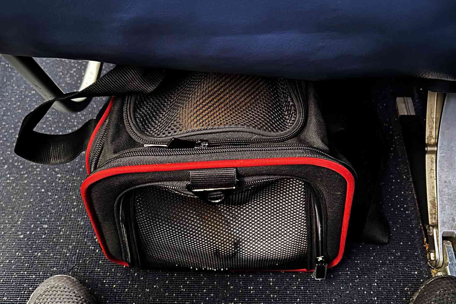 Petsfit Expandable Pet Carrier holding dog under airplane seat