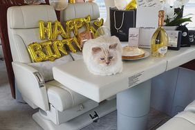 Karl Largerfeld's beloved cat Choupette just celebrated her birthday in a private jet party.