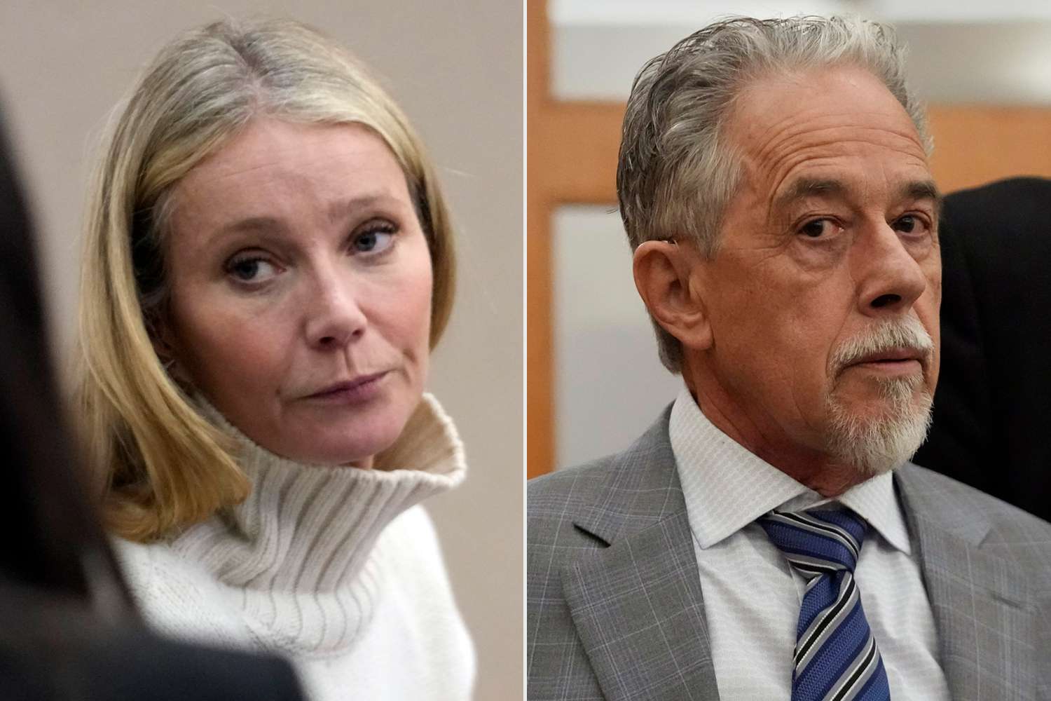 Gwyneth Paltrow, Terry Sanderson in court