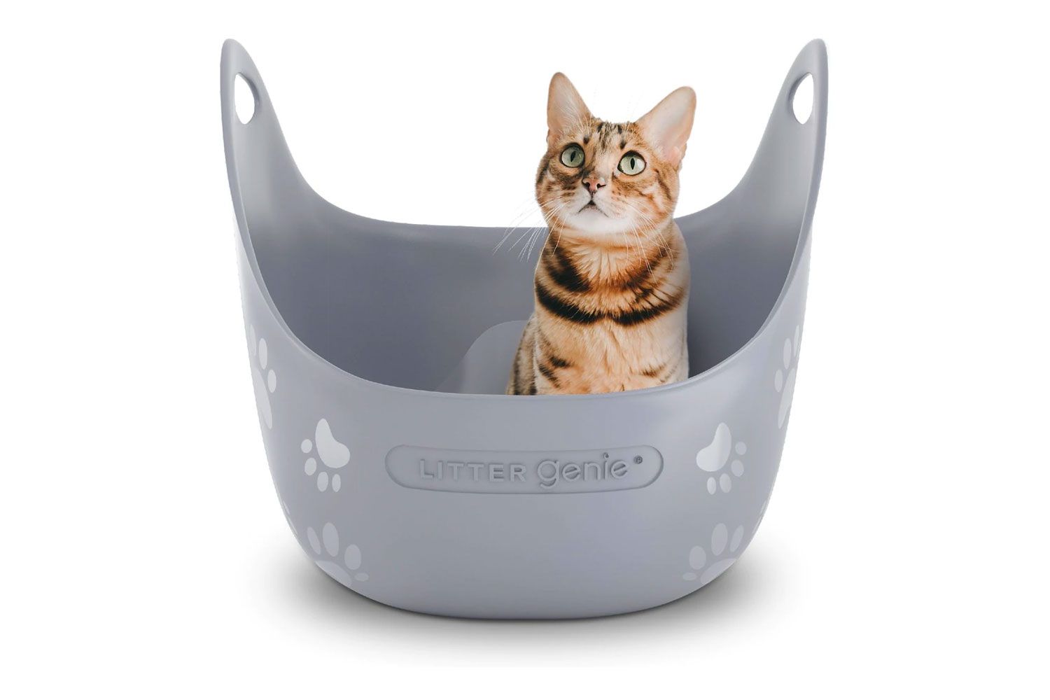 Litter Genie Cat Litter Box