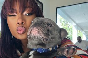 Celebrity Pet Instagram, Megan Thee Stallion, Foe Thee Frenchie