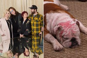 The Osbourne family, their new dog.