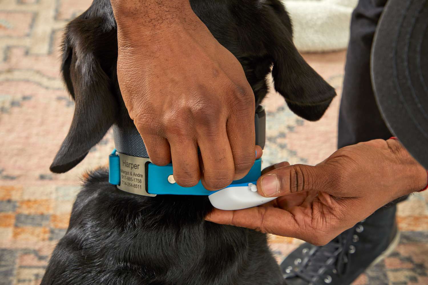 person attaching Tractive GPS Tracker for Dogs to dog collar 