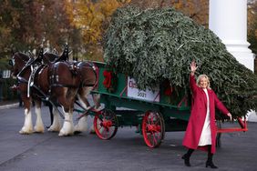 WASHINGTON, DC - NOVEMBER 22: U.S. First lady Jill Biden waves after she receives the official White House Christmas Tree on the North Portico of the White House on November 22, 2021 in Washington, DC. The eighteen-foot Fraser fir was grown in North Carolina by Rusty and Beau Estes, winners of the National Christmas Tree Association's 2021 grand championship. (Photo by Alex Wong/Getty Images)