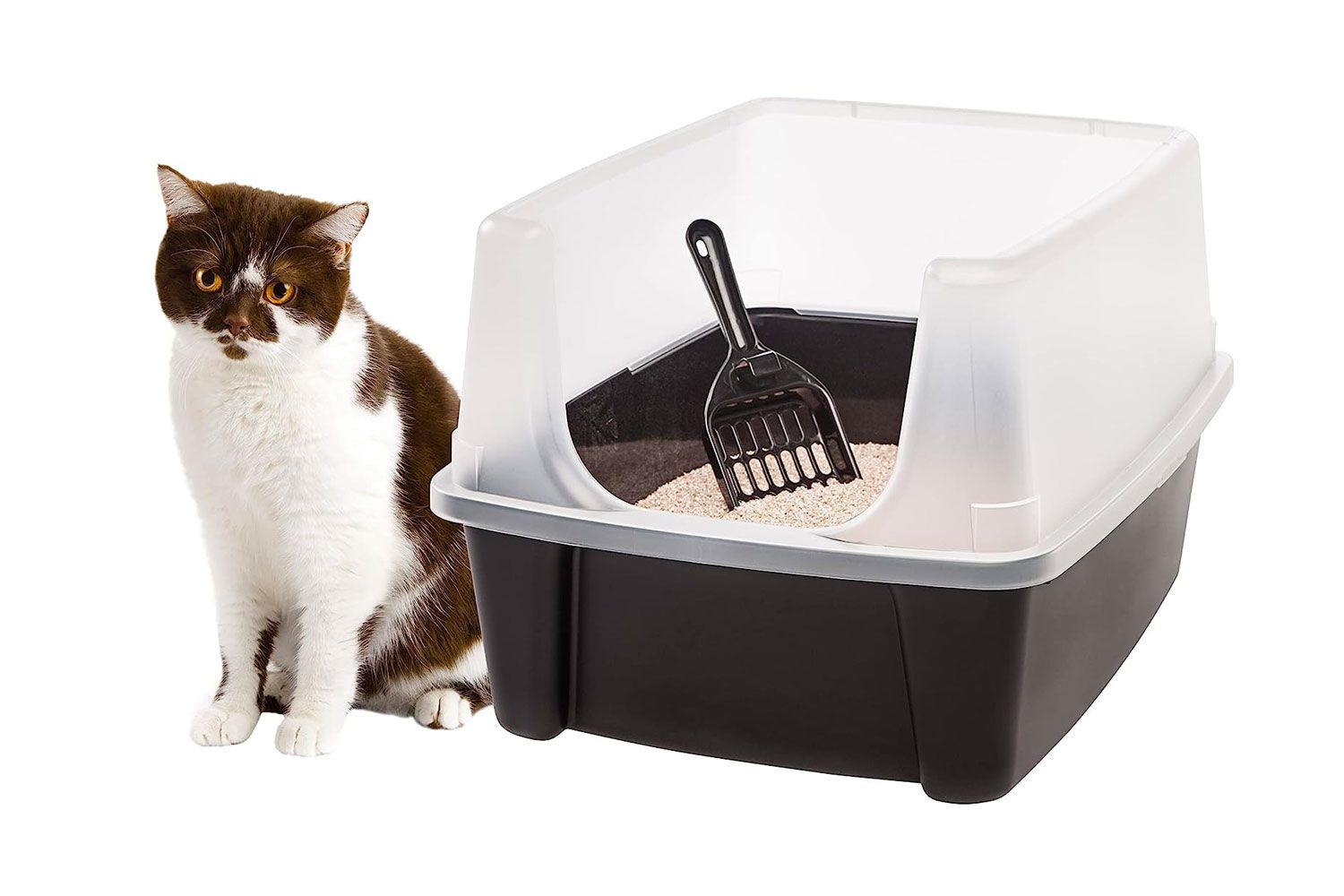 Iris USA Open Top Cat Litter Box with Shield and Scoop