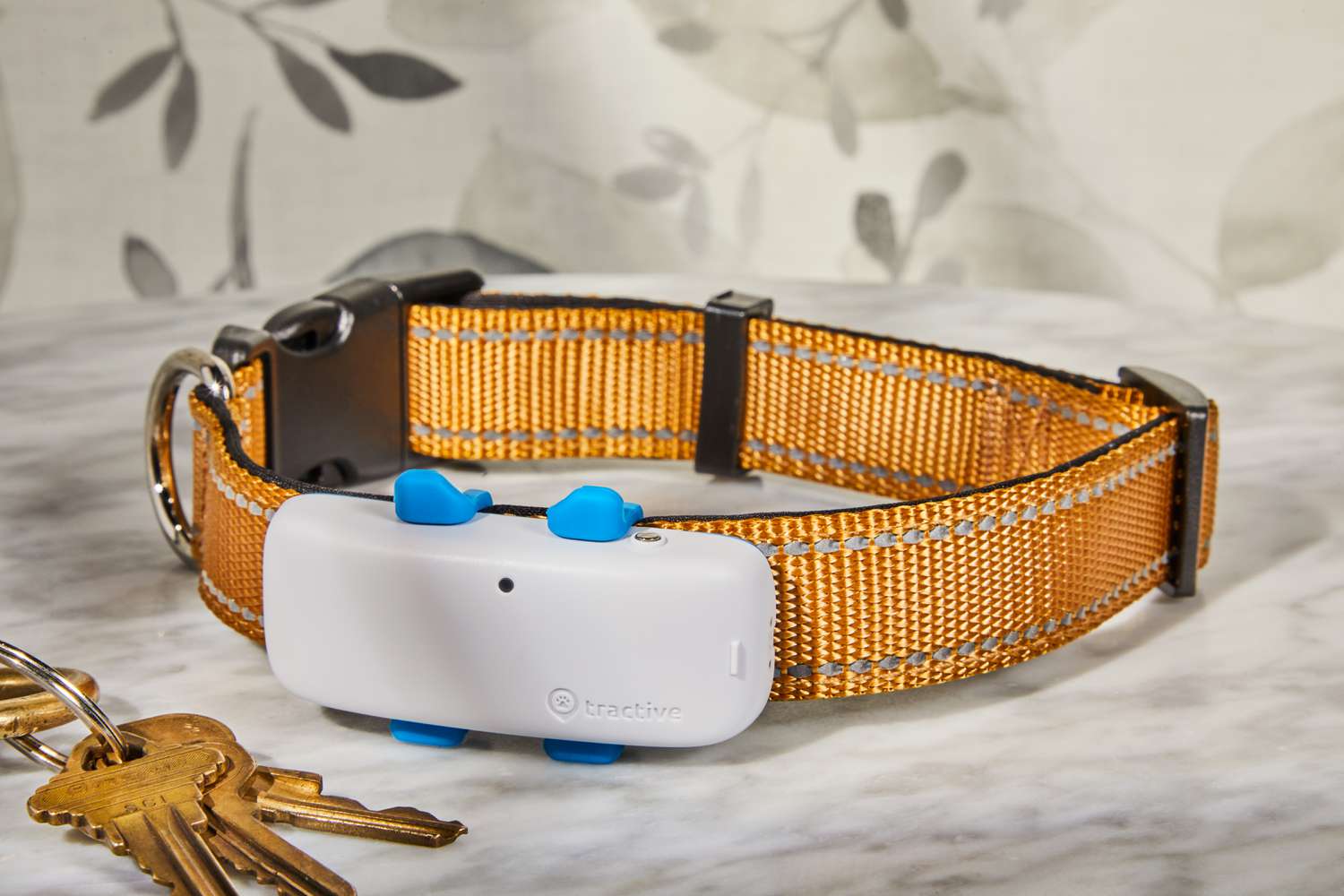 Tractive GPS Tracker for Dogs displayed on dog collar with keys on marble counter