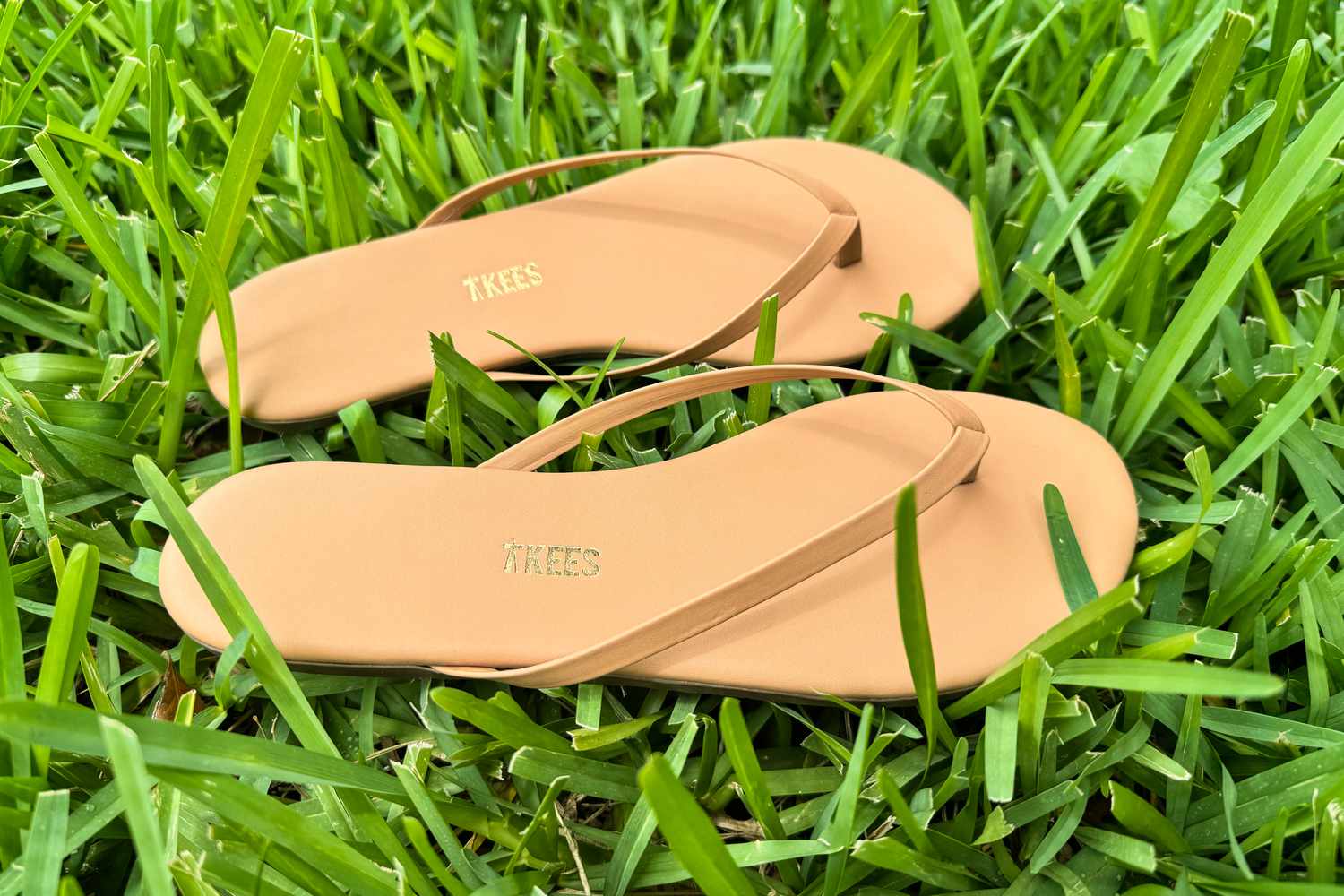 Tkees Flip-Flop Sandals in grass 