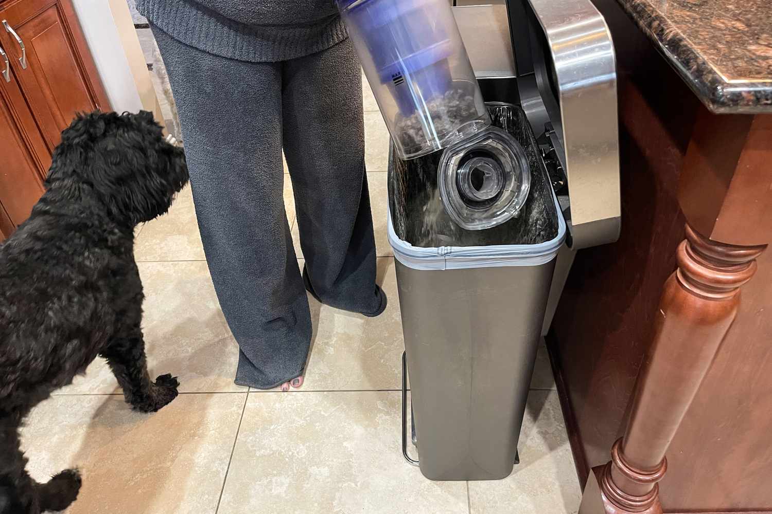 A person empties the Dyson Ball Animal Total Clean canister into a trash can