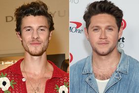 Shawn Mendes and Niall Horan