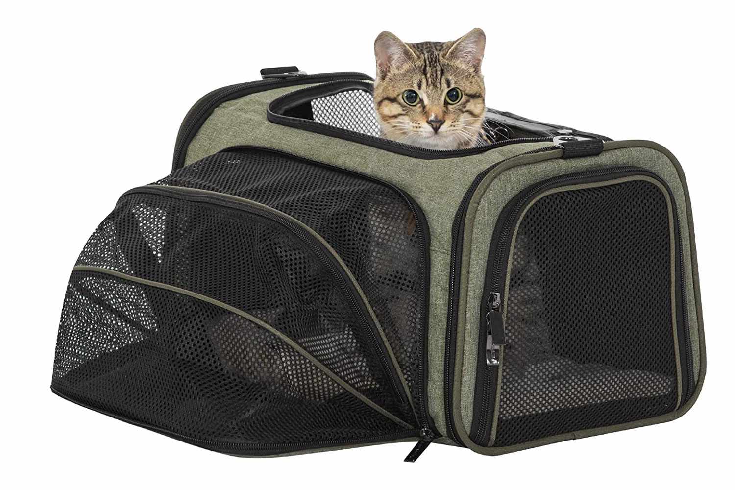 Petsfit Expandable Pet Carrier