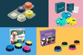 The Best Dog-Talking Buttons to Communicate with Your Pet