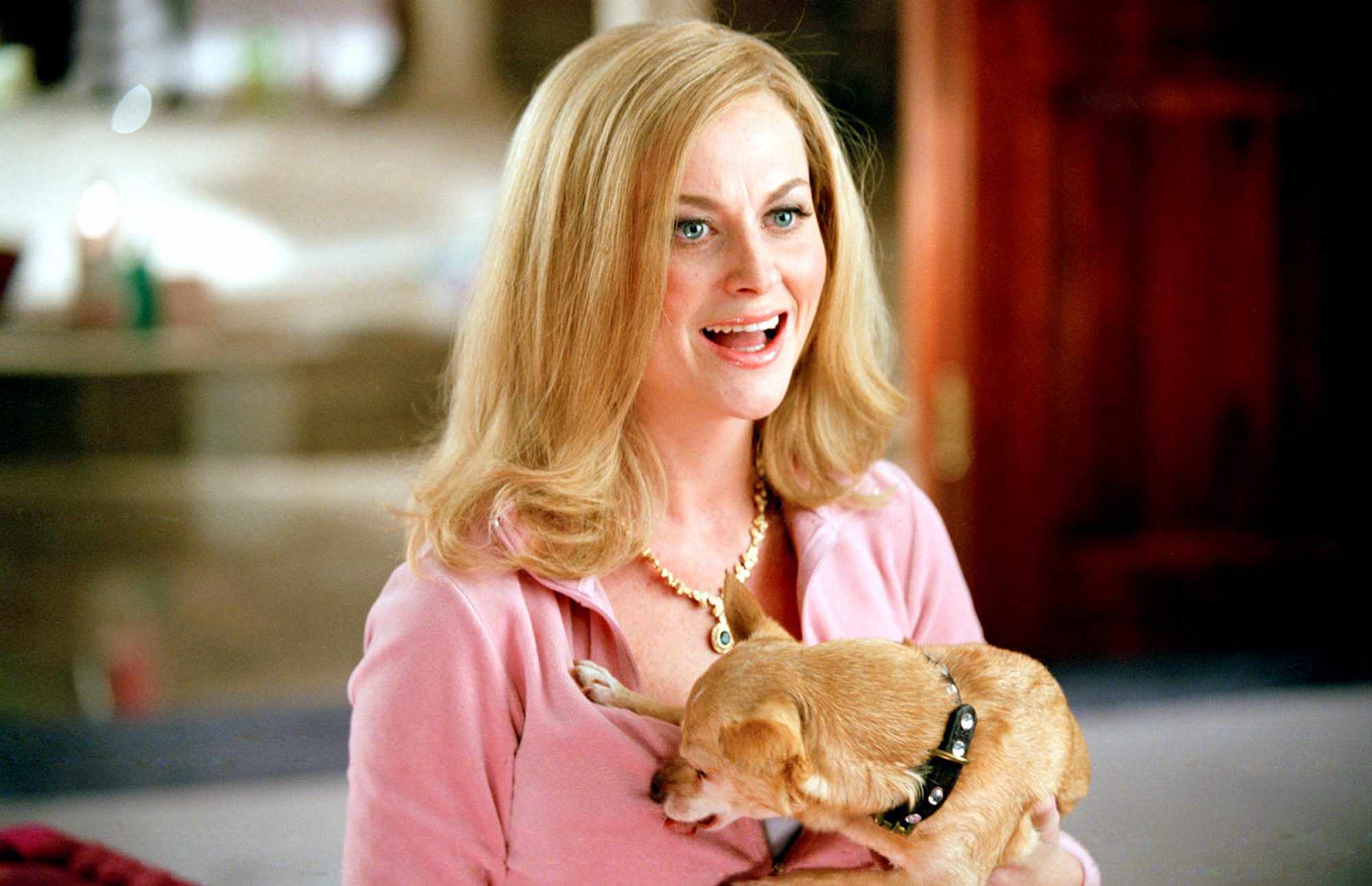 Mean Girls, Amy Poehler