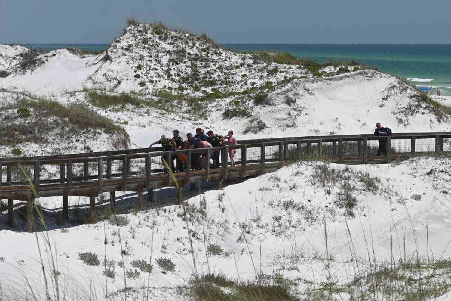 Walton County, Florida, where there was a shark attack