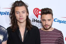 Harry Styles, Liam Payne