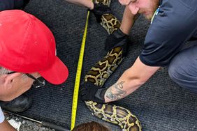 Guilford County Animal Control captures a snake