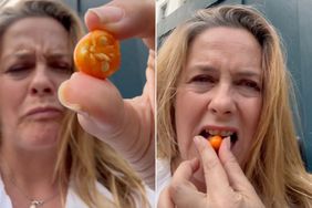 alicia silverstone eats poisonous fruit while in london Jerusalem cherry tiktok 08 19 24