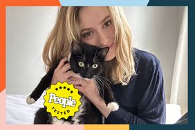 A person holding up a black and white cat after using the waterless cat shampoo