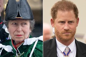 Princess Anne, Prince Harry