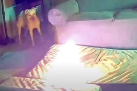 Dog Set Home on Fire After Chewing Lithium-Ion Battery