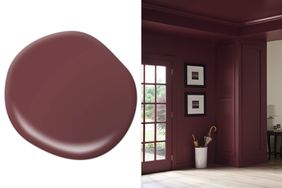 BEHR Color of the Year 2025