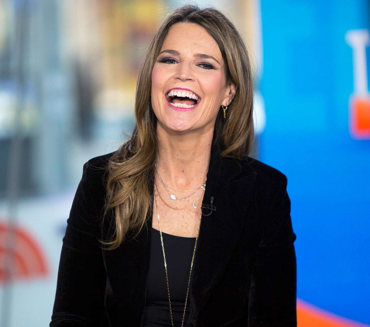 Savannah Guthrie on the Today show