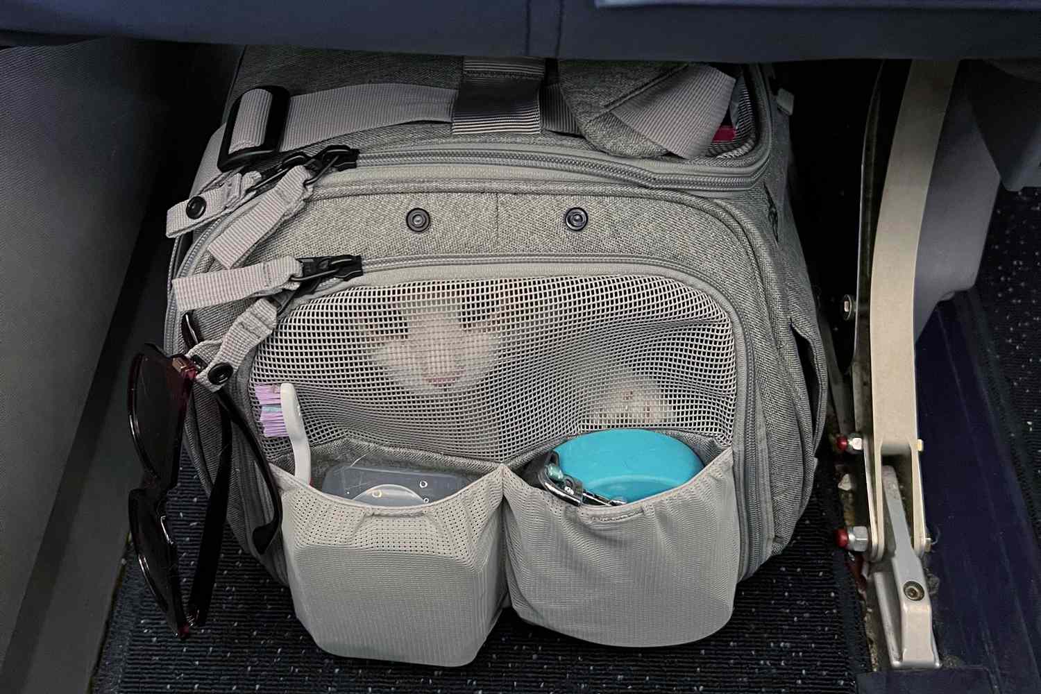 cat sitting in TravelCat "The Transpurrter" Ultimate Calming Convertible Cat Carrier tucked under airplane seat