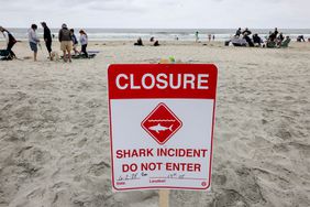 A beach closure sign is posted where a swimmer was attacked by a shark around 9 am in Del Mar, California on Sunday, June 02, 2024.