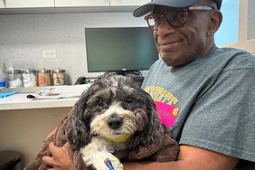 Al Roker Skips Today as His Dog Recovers from Emergency Surgery