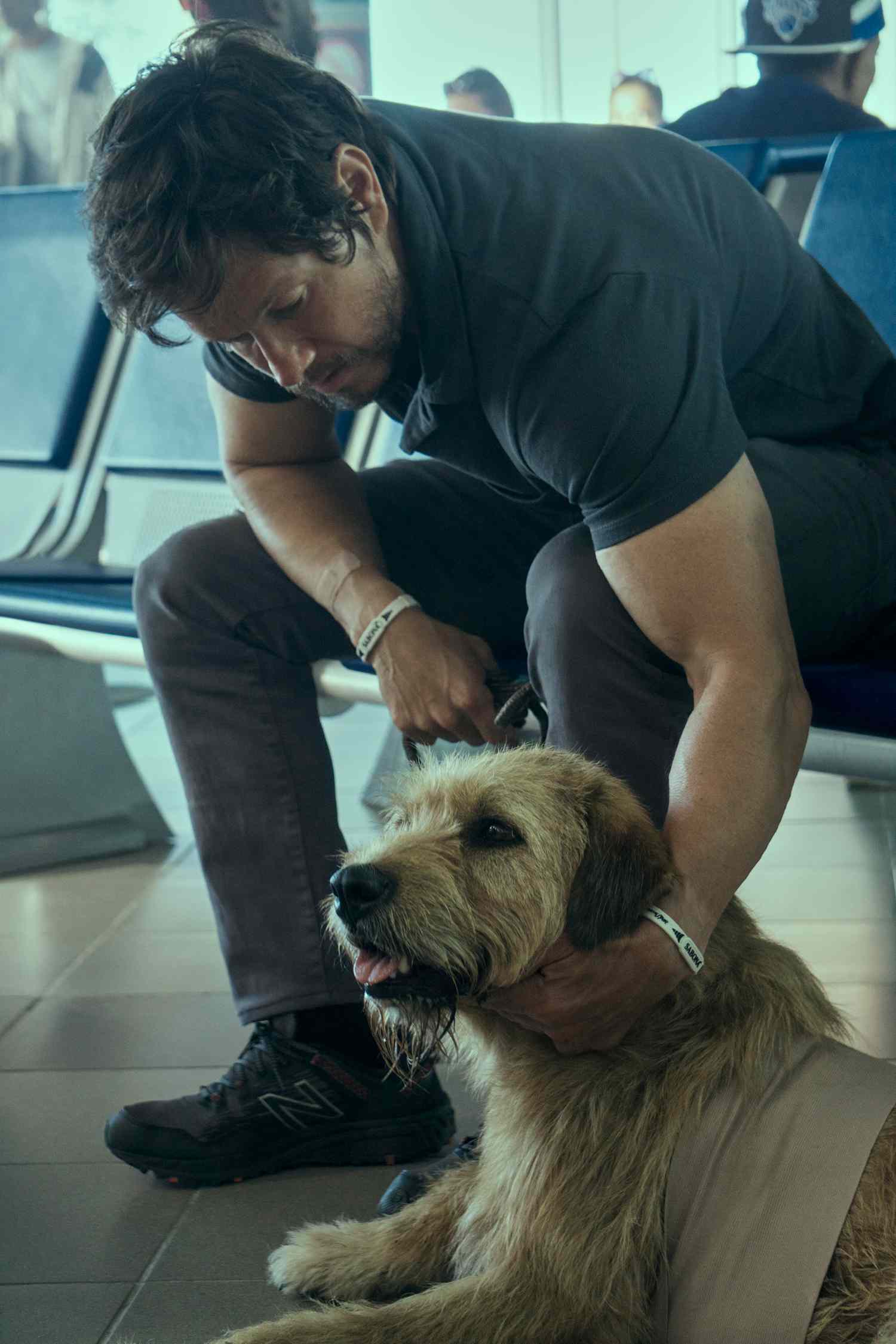 Mark Wahlberg and his canine costar Ukai in 'Arthur the King'