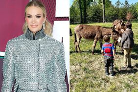 Carrie Underwood farm animals