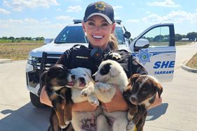 Litter of 8 Puppies Rescued After Being Abandoned in a Carrier with No Water on 100-Degree Texas Day